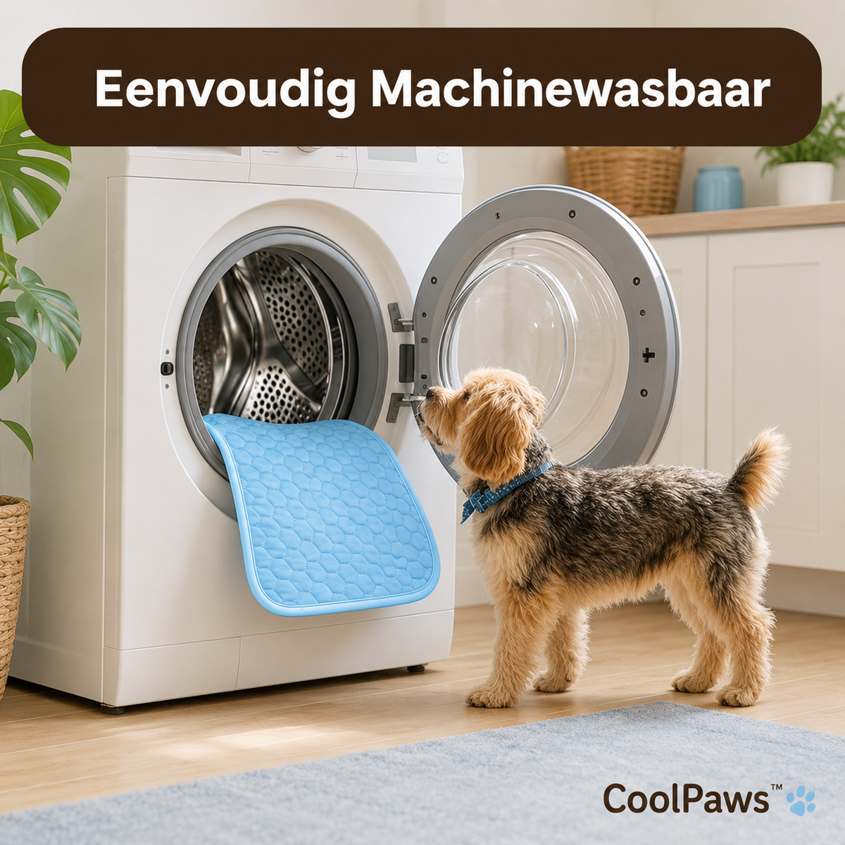 CoolPaws™ Koelmat – Zelfkoelende Mat voor Honden en Katten